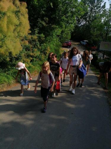 PLESNA ŠOLA WOLFY - PACUG junij 2021